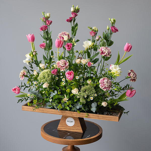 Pink Spring 3 | Botany Flowers