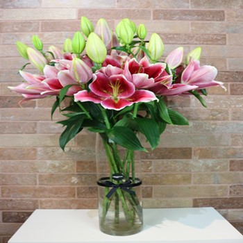 Perfect Lilies Pink