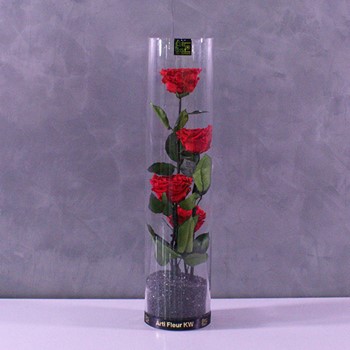 Cylinder with Roses