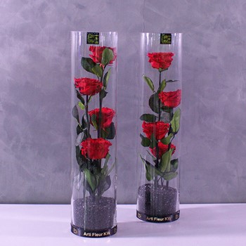 Cylinder Roses