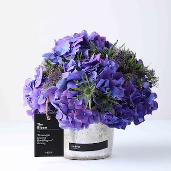 Violet Vase