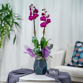 Orchid Vase VIP 2