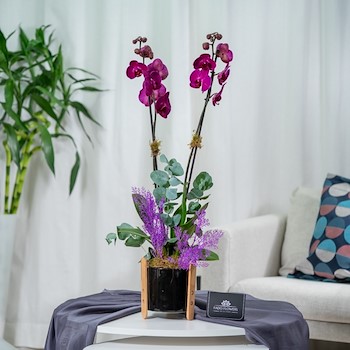 Orchid Vase VIP III
