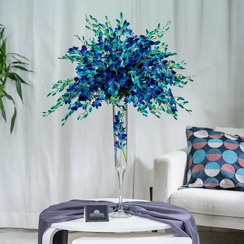 Blue Vase 2020 