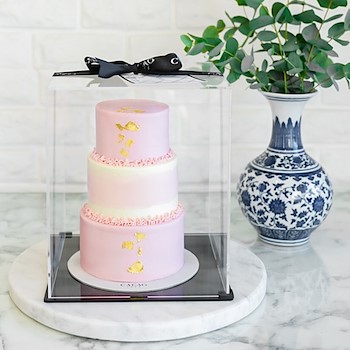 Swan Cake Pink