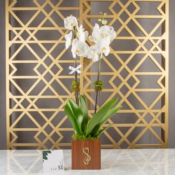 Wooden Orchidean