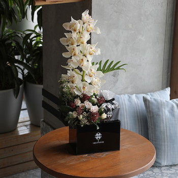 Orchid Box 2
