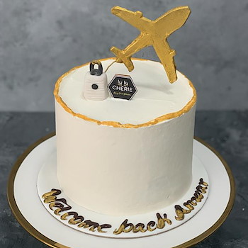  Bon Voyage Cake