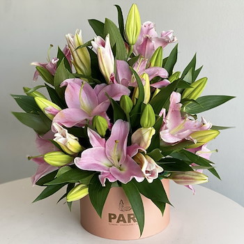 Signature Pink Lilies