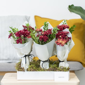 25% OFF - Red Mellow |