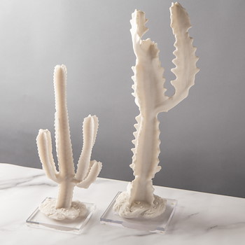 Cactus Décor