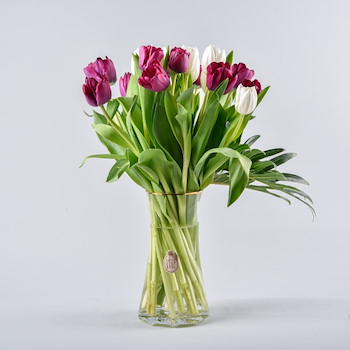 Tulips Vase
