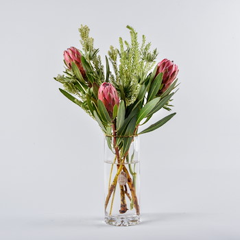 Protea Vase