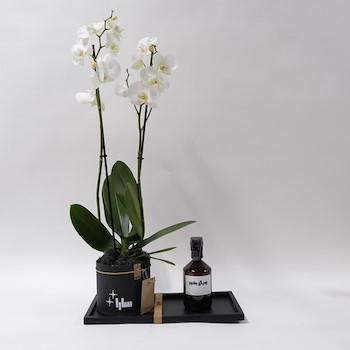 Orchids Black Pot Set 1