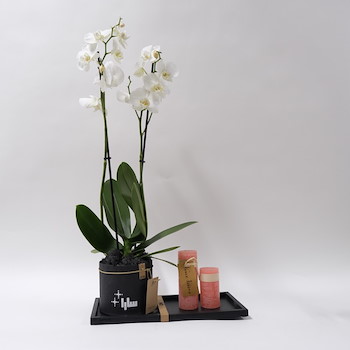 Orchids Vase 6