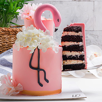 Flamingo Double Cake