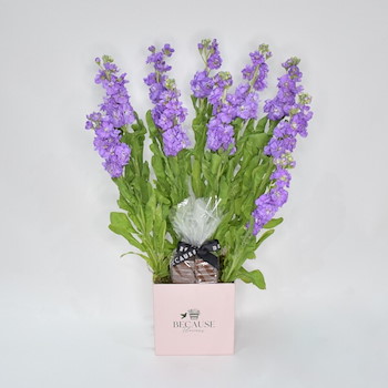 Purple Pleasant Bouquet