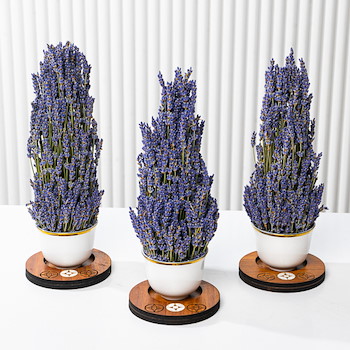 Trio Arabesque Lavender