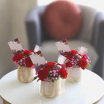Carnations Giveaways 3