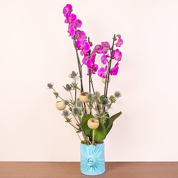 Orchid Vase 6