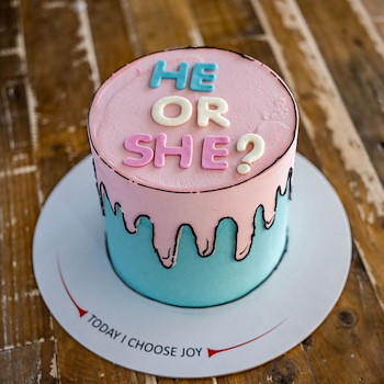 Gender Comic Cake