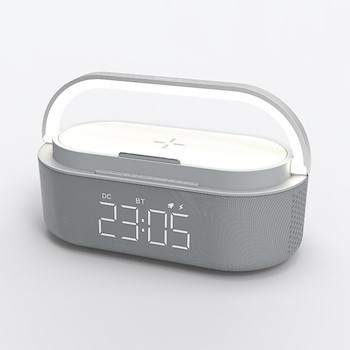 Grey Alarm & Speaker