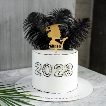 Graduation And Feathers Cake
