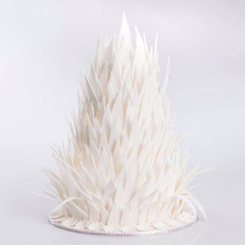 Feather Cake