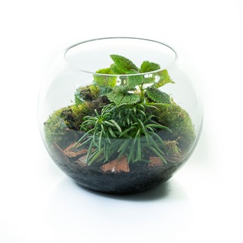 25% OFF - Lila Garden