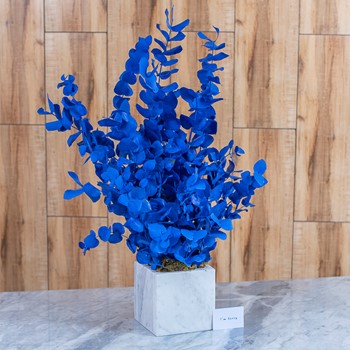 25% OFF - Blue Ivy 9
