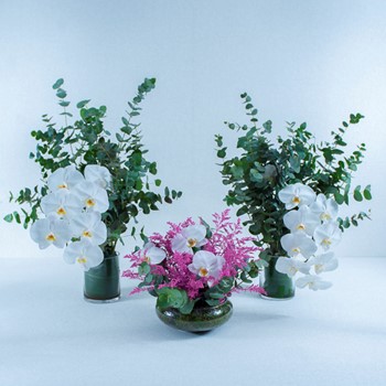 25% OFF - Pink Butterflies