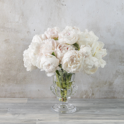 بوكيه ورد من البيونى وفاز كرستال | Bleems